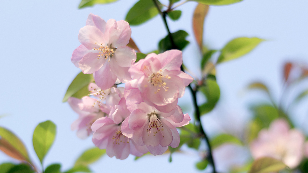 四川旅游踩坑的地方,贵州旅游踩坑