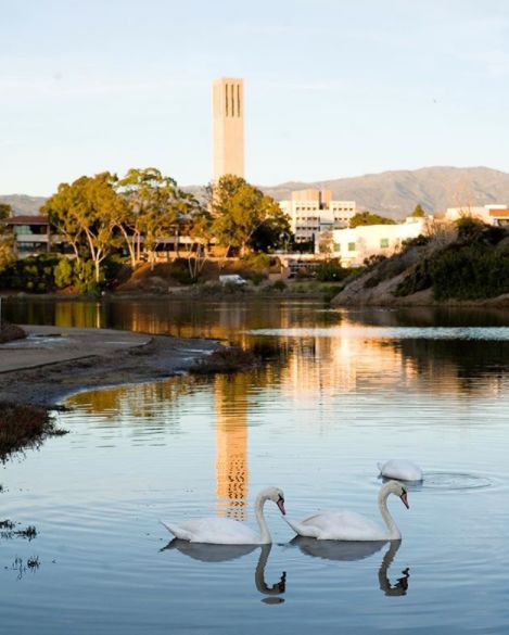 加州旅游攻略视频大全,加州旅游攻略