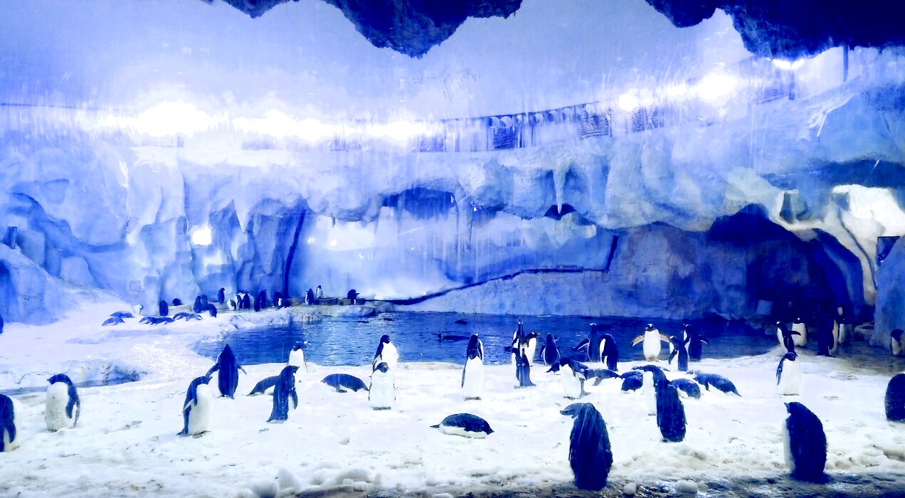 珠海长隆海洋王国吃住旅游攻略,最新珠海长隆海洋王国一日游攻略