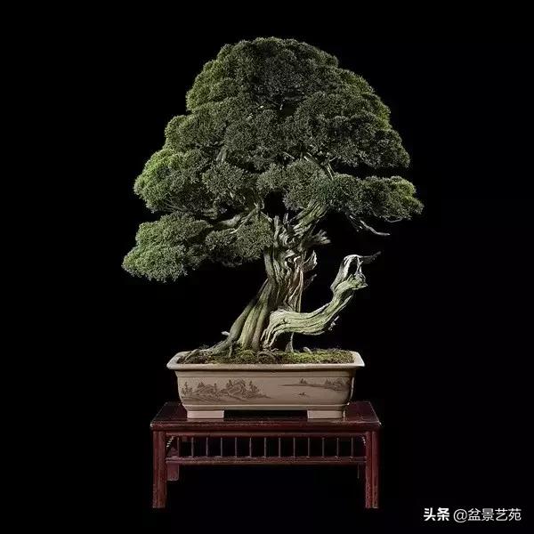 西泠印社砚台最高价拍卖记录,杭州西泠拍卖盆景