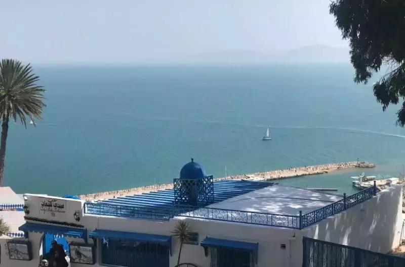 突尼斯是不是地中海,突尼斯一半沙漠