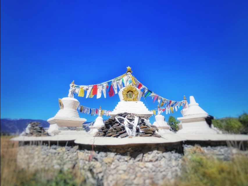 最美的季节遇见最美的你 (最美的季节遇见最美的你散文)