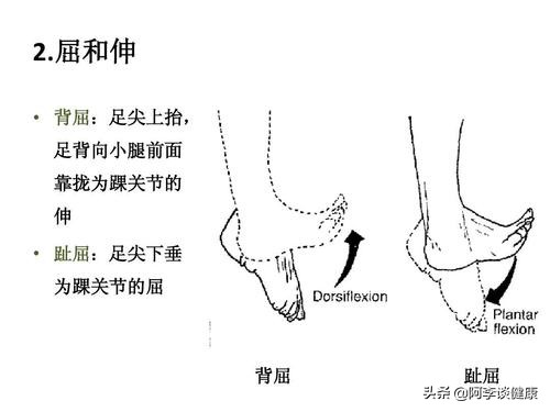 膝盖疼？比起正向弓步蹲，其实你更应该多做反向弓步蹲