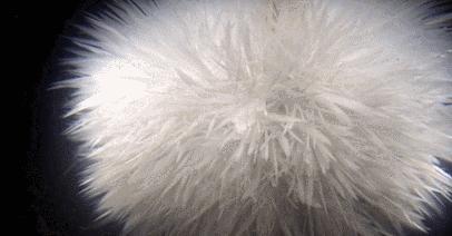 水瞬间结冰视频,让水瞬间结冰