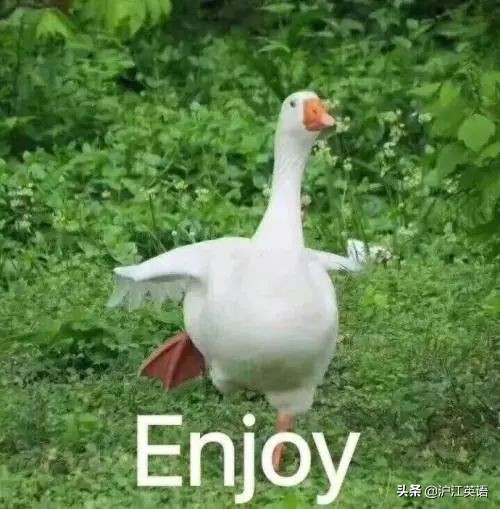 最时尚的2019年中年女装,2022年最流行的春天妆容