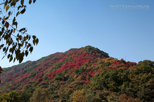 三门峡甘山国家森林公园最新消息,三门峡甘山国家森林公园马拉松