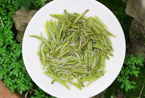 蒙顶黄芽与蒙顶雀舌口感,蒙顶雀舌和蒙顶石花