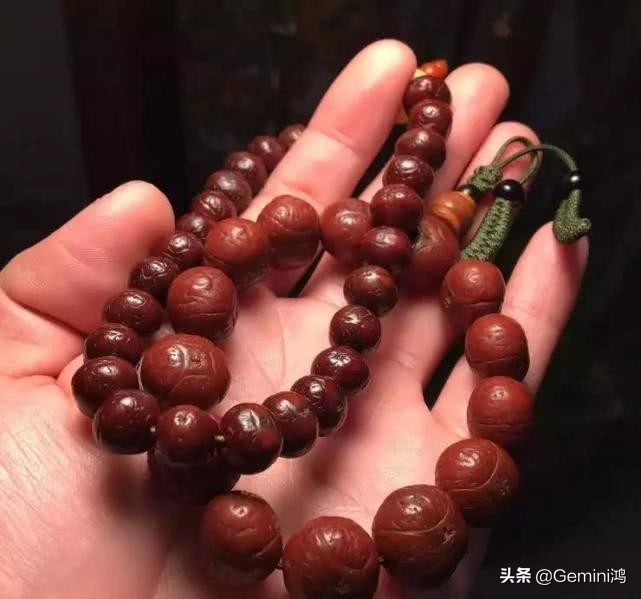 凤眼菩提湿了怎么办,凤眼菩提能浸水吗