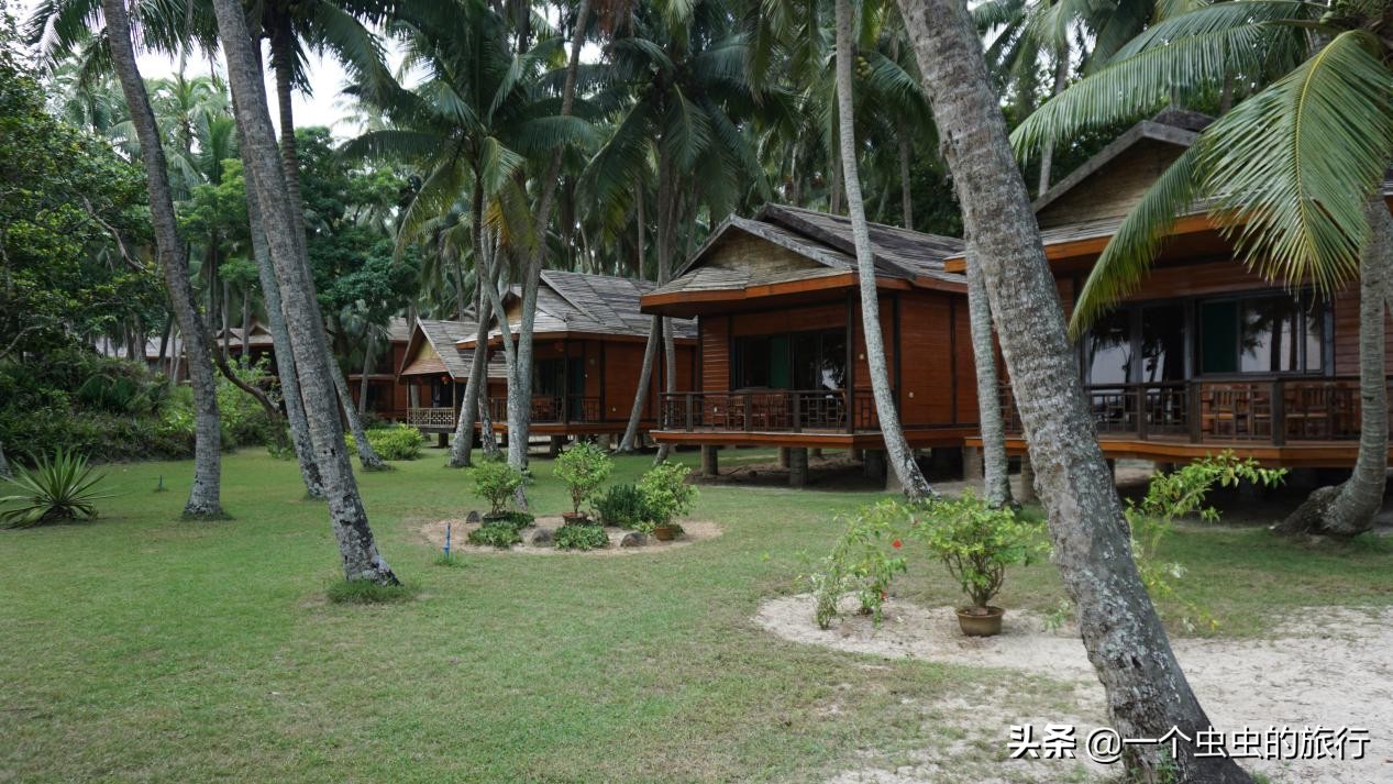 海口东郊椰林,东郊椰林的椰风摇曳