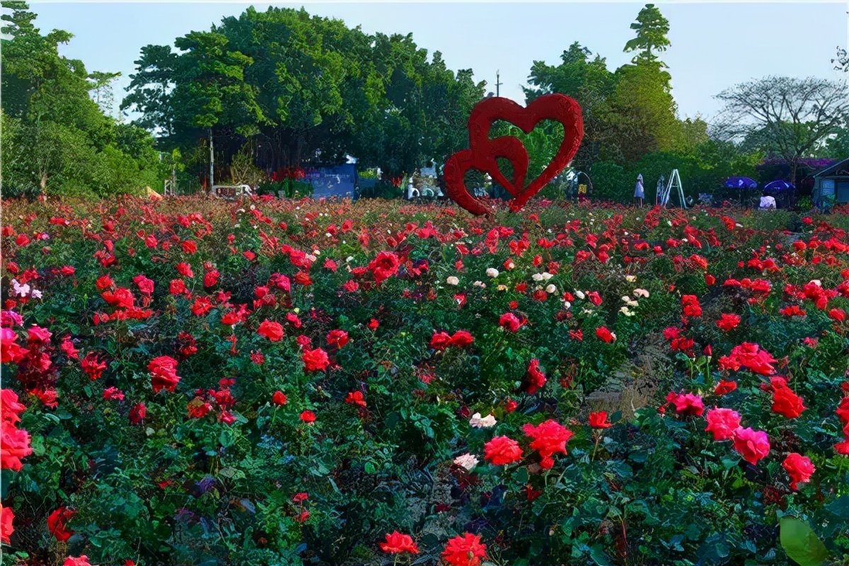 广州从化山野间隐奢桃源民宿,诗意野趣手作做个小木匠丨菁木山舍