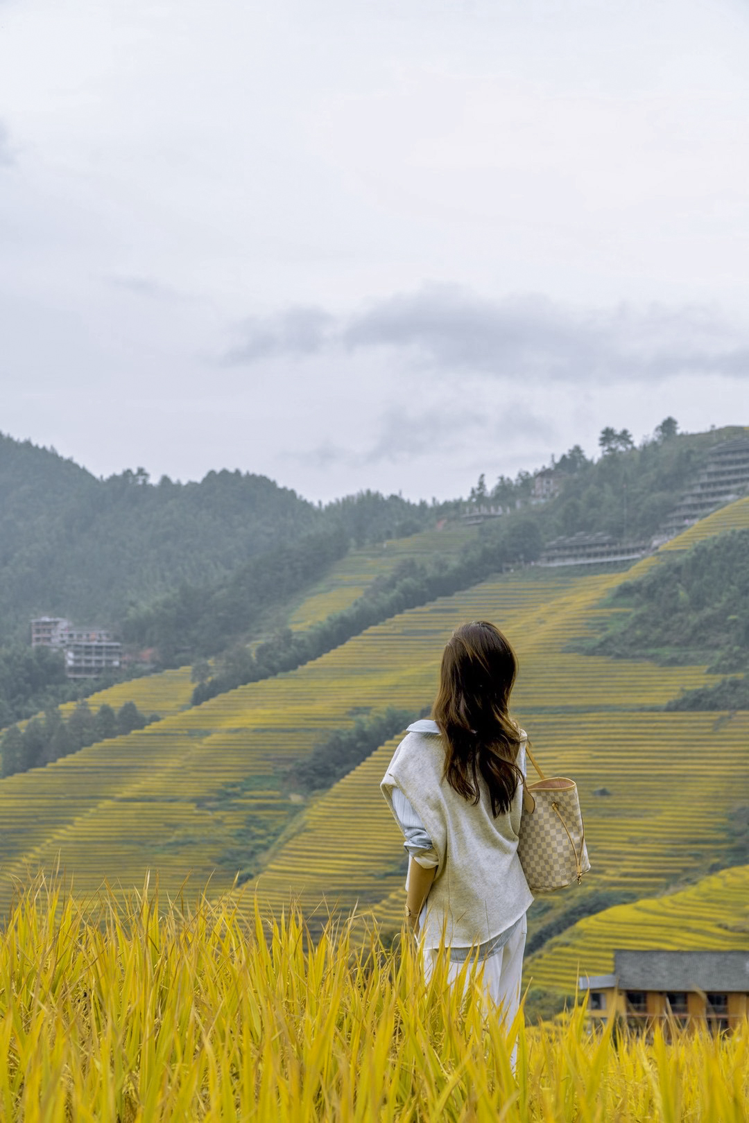 世界奇观龙脊梯田视频,世界梯田之冠桂林龙脊梯田