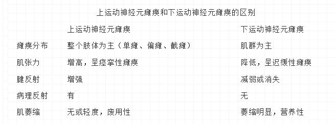 神经病学与精神病学笔记,神经病学知识点总结