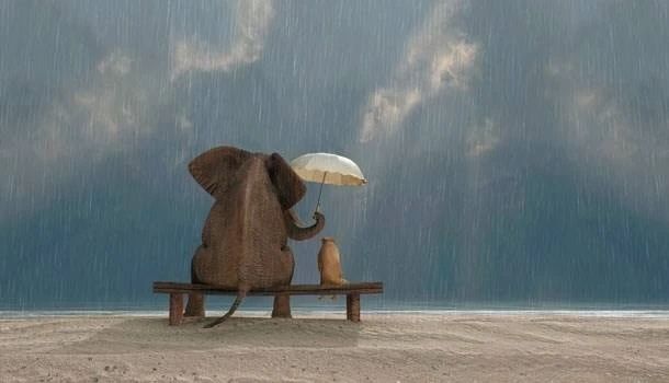 再穷不帮亲戚打工短语,就算再穷也不要去给亲戚打工