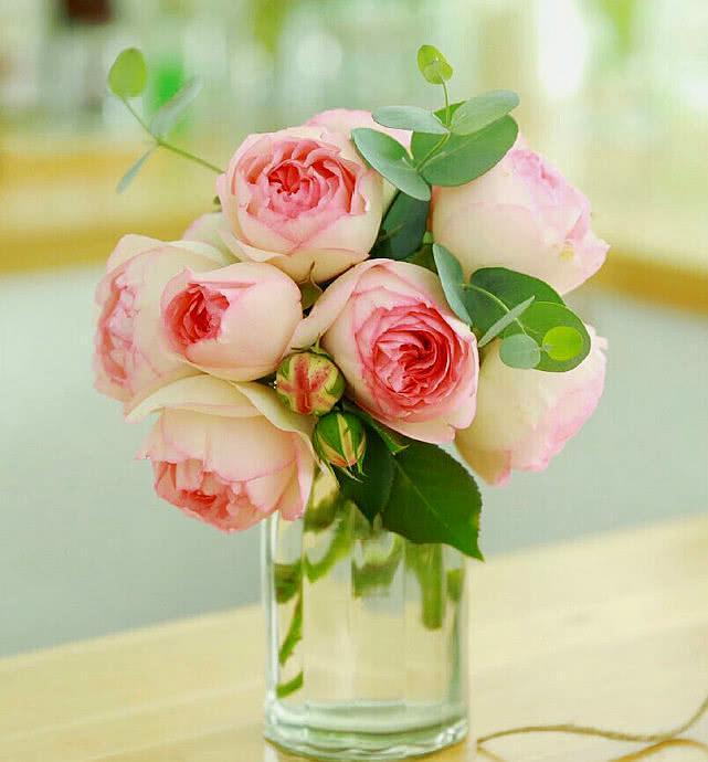 职场爱情43集完整版,职场爱情34集