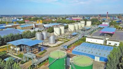 砥砺奋进开启加速发展新征程,砥砺前行谋发展务实高效创佳绩