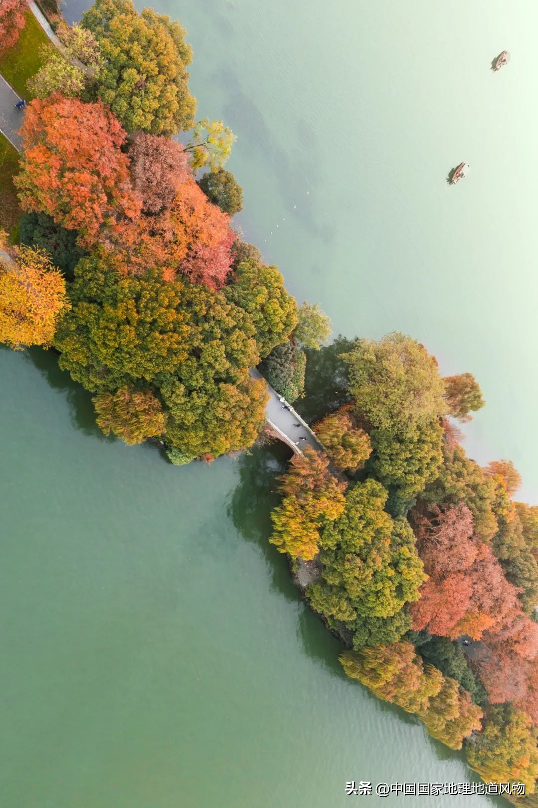 什么是西湖成语,什么是西湖莼菜