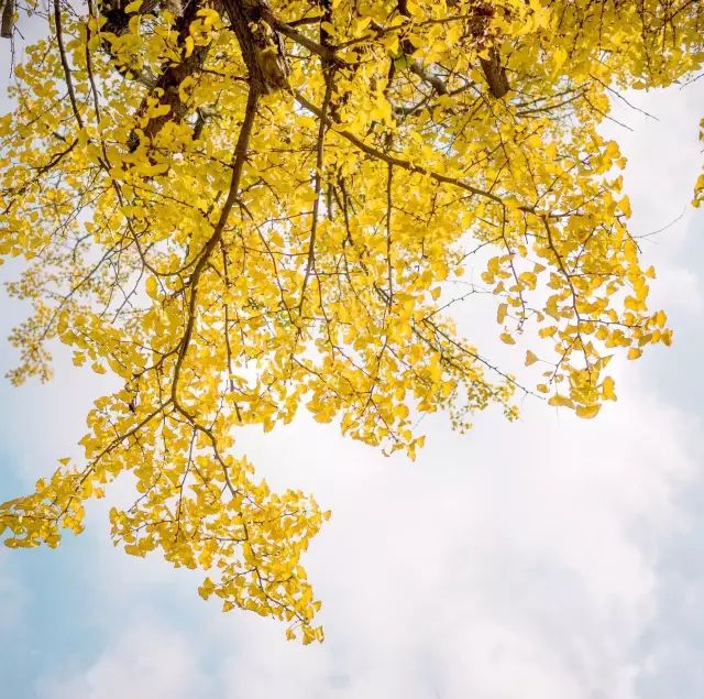 去云南自驾游有哪些景点最美,云南最美打卡景点