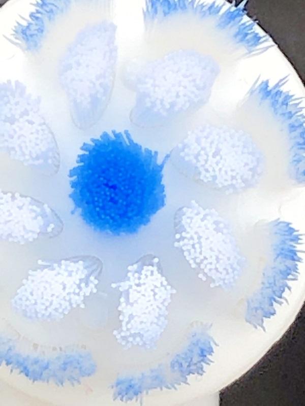 kkc电动牙刷和舒客电动牙刷哪个好,usmile电动牙刷和飞利浦电动牙刷