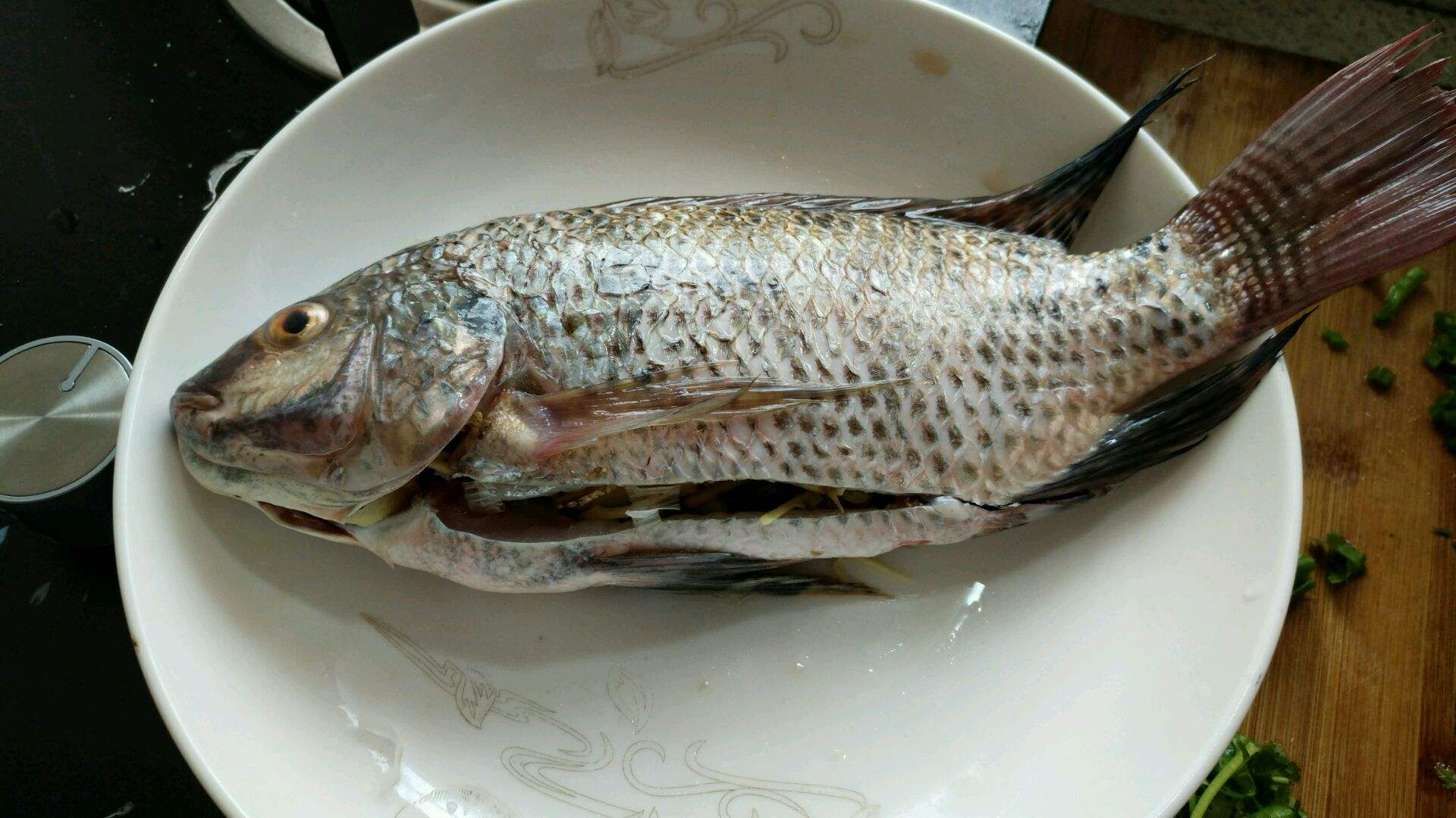 罗非鱼的正确钓法,太阳鱼和罗非鱼生活习性区别