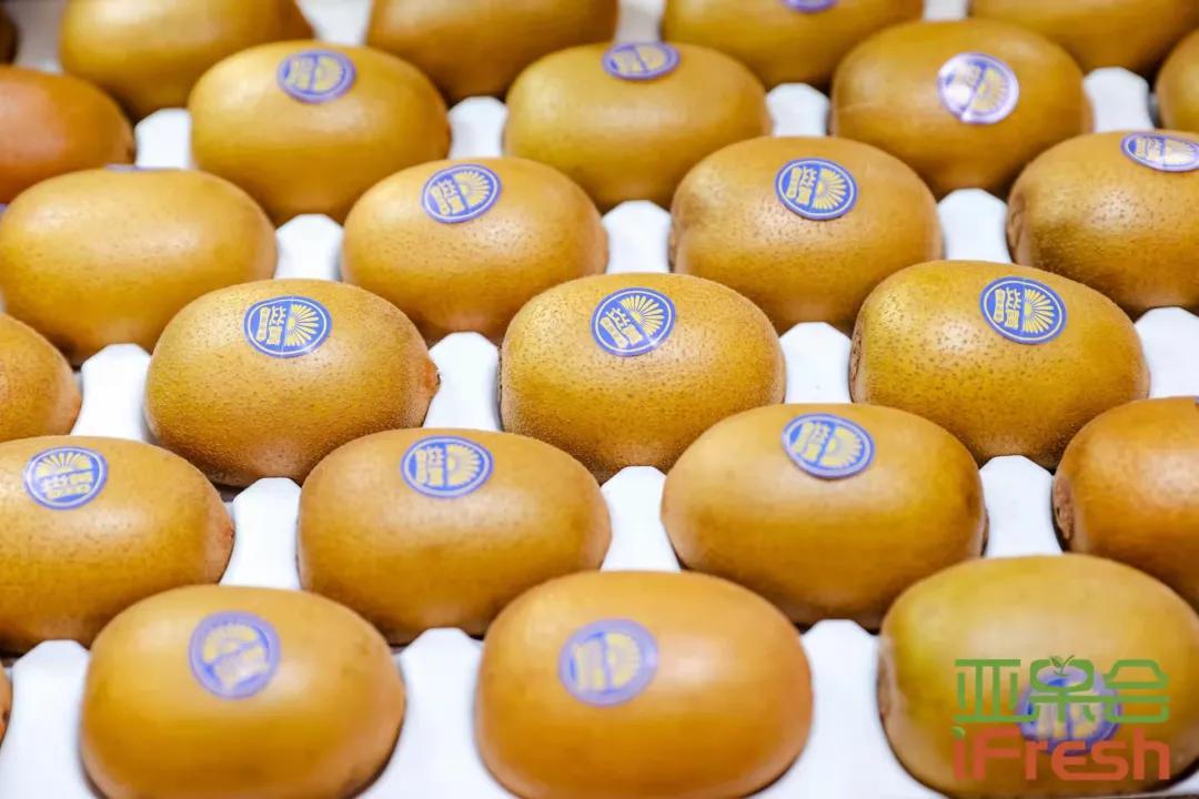 ifresh上海果蔬博览会,ifresh果蔬产业博览会