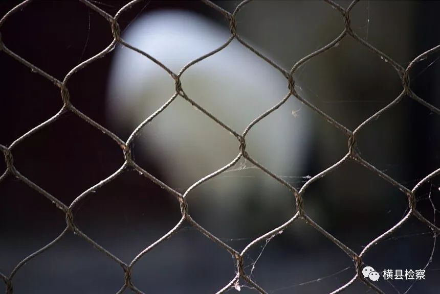 以案释法借车合法吗,以案释法借车须谨慎违法要担责