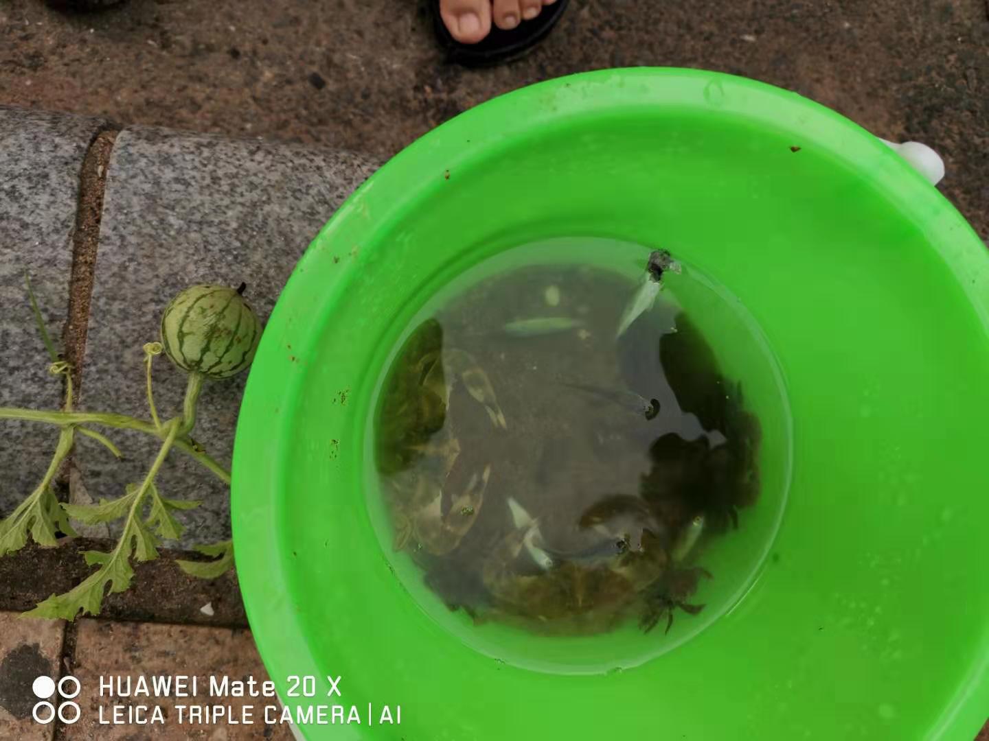 距北京300公里，隐藏着一个鲜为人知的静溢海滩