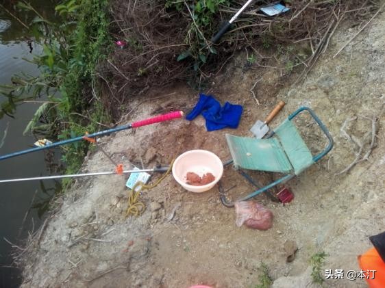 鏅編娓斿叿,鏅編楸艰偉