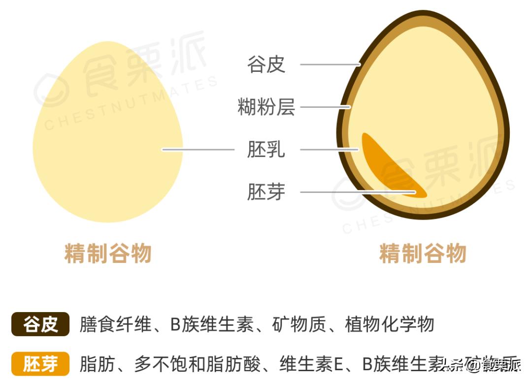 全麦面包挑选标准,推荐一款正宗的全麦面包