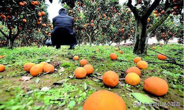 渔民直播卖货,海边渔民带货直播