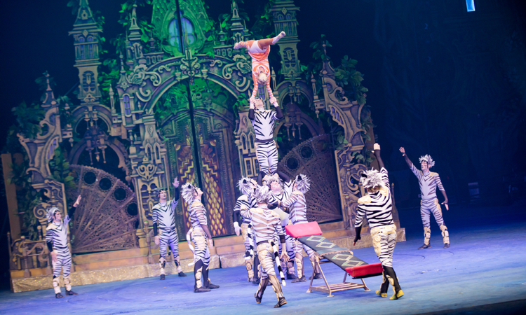 国内十大旅游景点广州长隆上榜,广州长隆旅游攻略必去十大景点