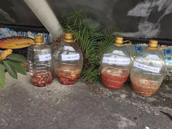 自制花肥太臭怎么办,怎样去除自制花肥的臭味