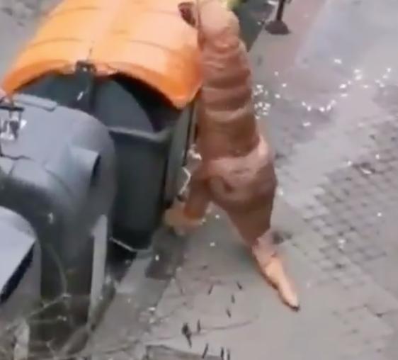 国外疫情封城禁足，想出门想疯了的人们脑洞大开！