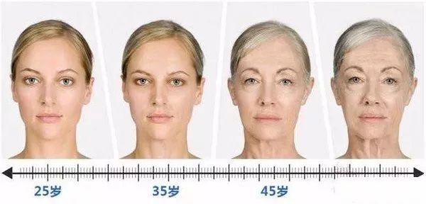 澳洲bio-e花胶液即食深海胶原蛋白,bio-e花胶液怎么辨真假