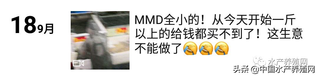 价格即将上涨,价格又要变或将大幅下调时间