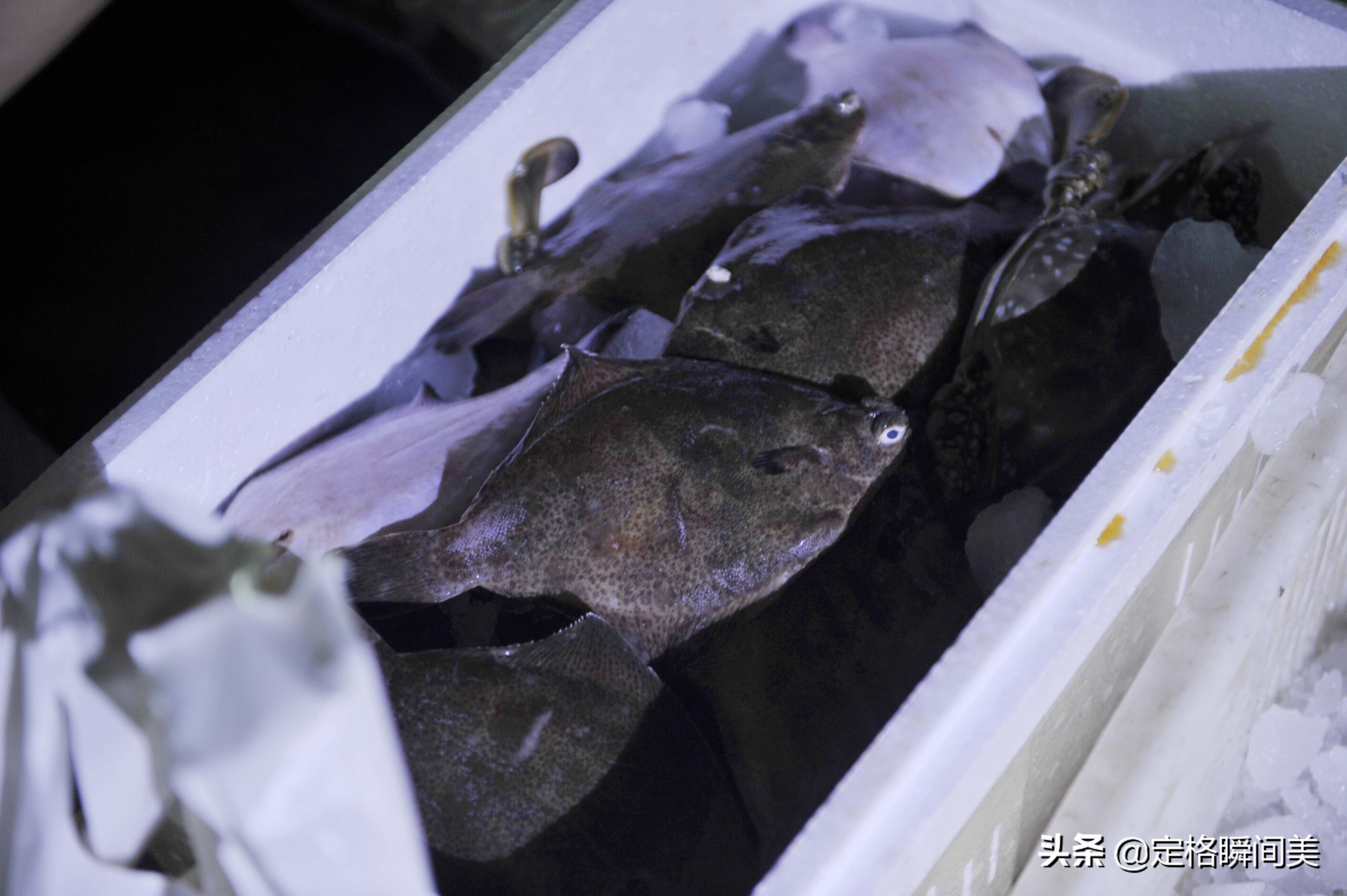 青岛捡漏,夜探青岛最新视频