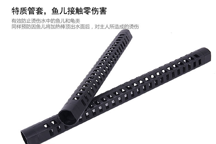 养兰寿鱼的技巧与注意事项,什么兰寿鱼最好养