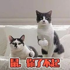 为啥鼠能排12生肖老大？先把这份拜年祝福语读懂再说