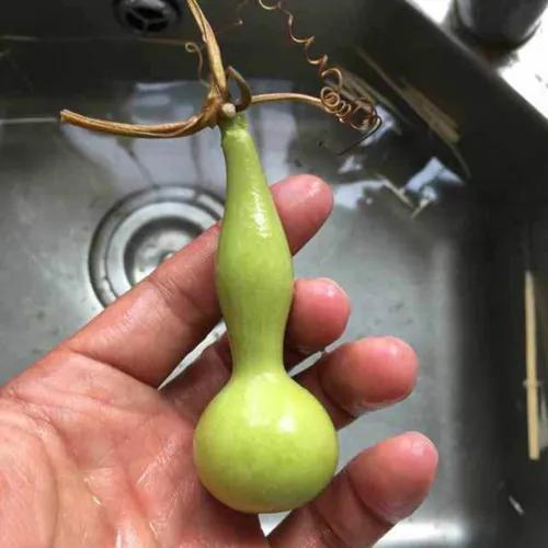 葫芦打皮的正确方法,葫芦打皮技巧视频