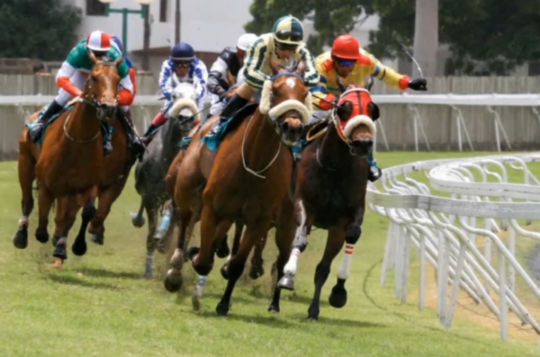 形状的关键点——不要试图适应整个图形