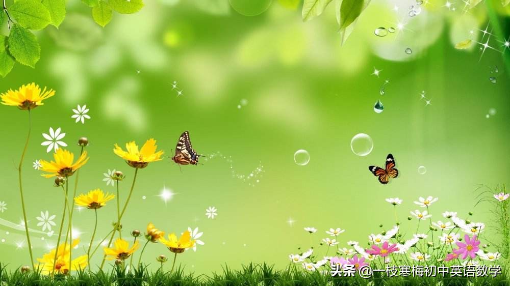 初中英语词汇1600分类版,初中英语词汇记忆大全