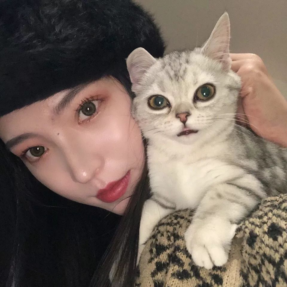女生爱养猫喜欢独立是哪个星座,大部分女生都喜欢养猫吗