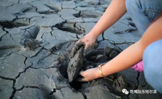 材料博士做实验有毒吗,科普塑料袋的危害