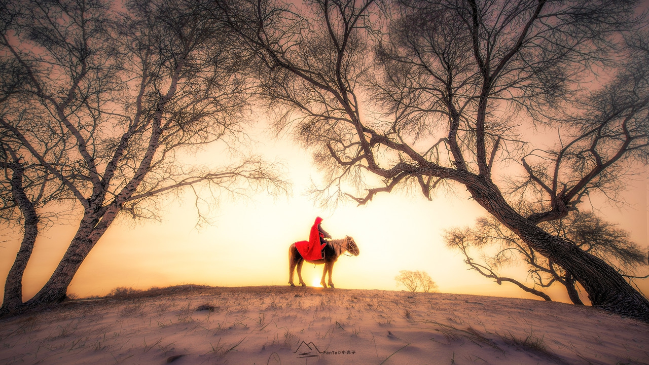 蝲蛄吟唱的地方英文版难度,蝲蛄吟唱的地方是真实的故事吗
