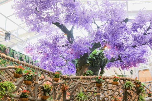 广州遛娃出游,广州遛娃3-4天攻略