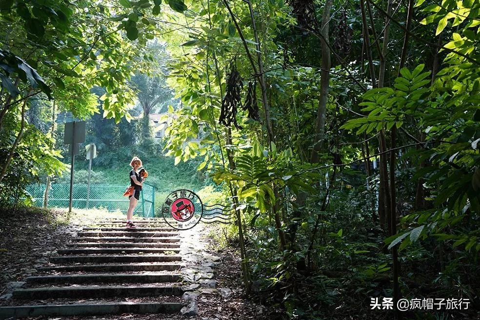 新加坡旅游住酒店攻略,去新加坡旅游住宿怎么选择