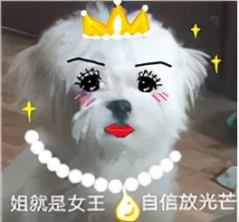 免费坐高铁在哪里报名,办理免费坐高铁