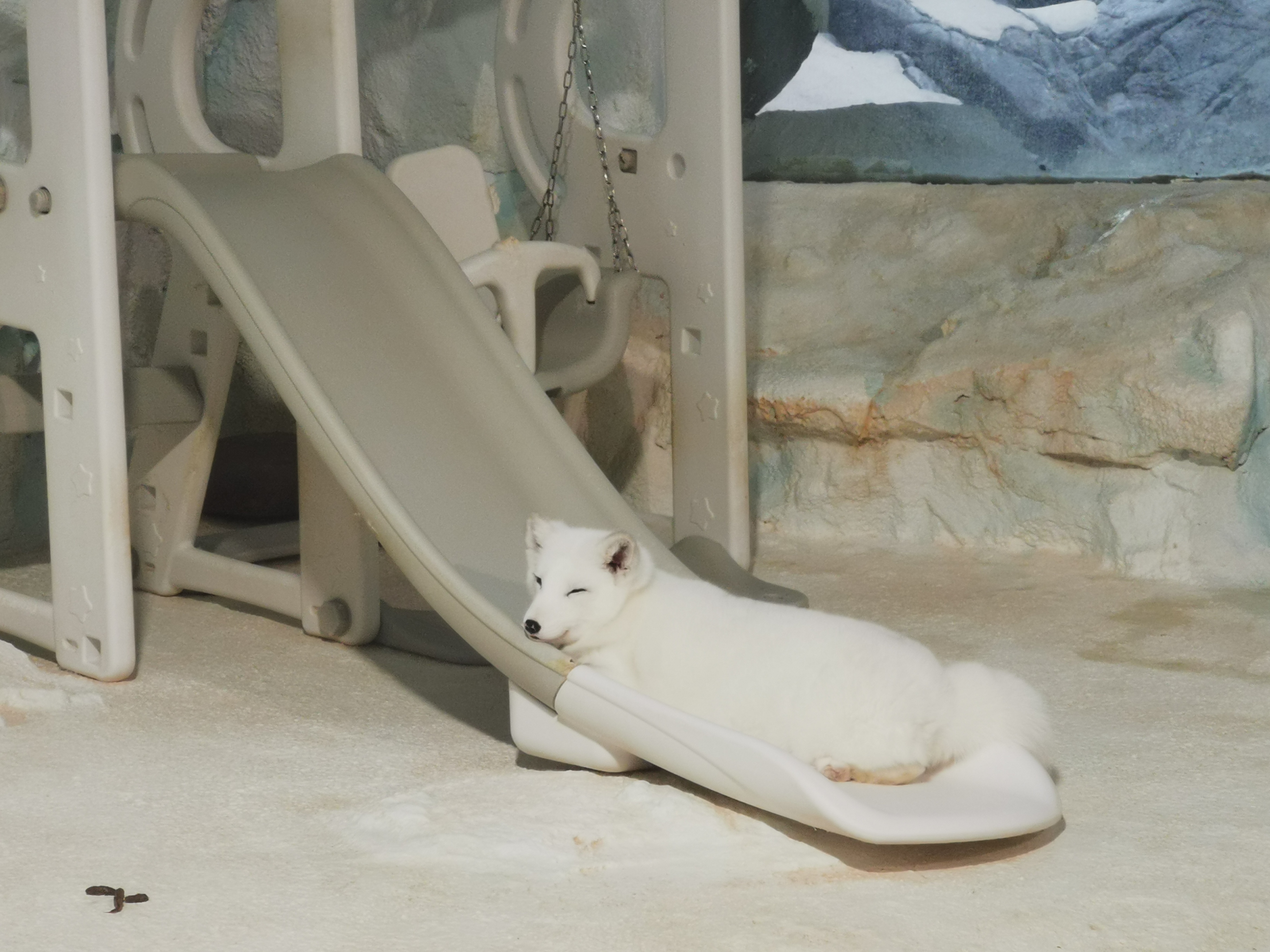 去珠海长隆海洋王国游玩攻略路线,最新珠海长隆海洋王国一日游攻略