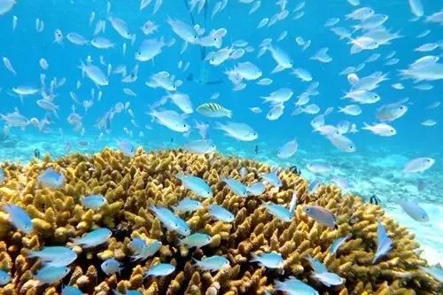 冲绳有啥,冲绳有没有啥