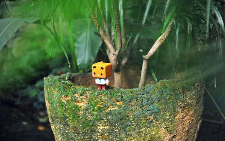 实力最强的三个星座让人佩服,为人强势且能力惊人的三大星座