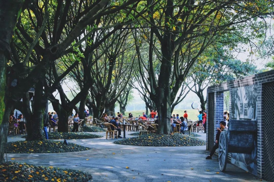 成都周末遛娃游推荐,遛狗公园成都